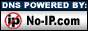 www.no-ip.com