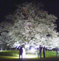2005-04-09-00.jpg