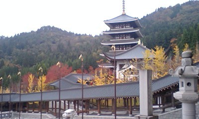 2008-11-08-00.jpg
